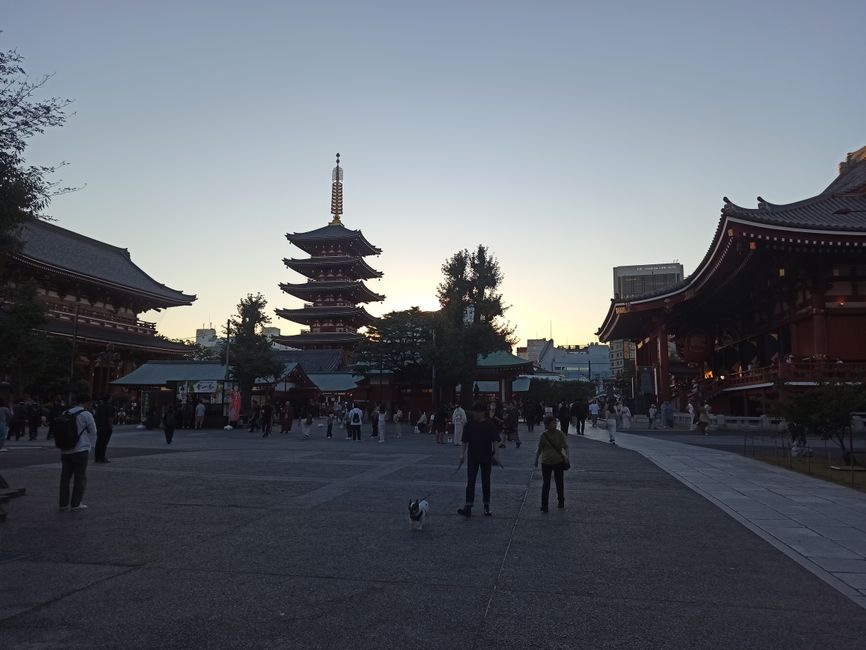 Tokio ankommen