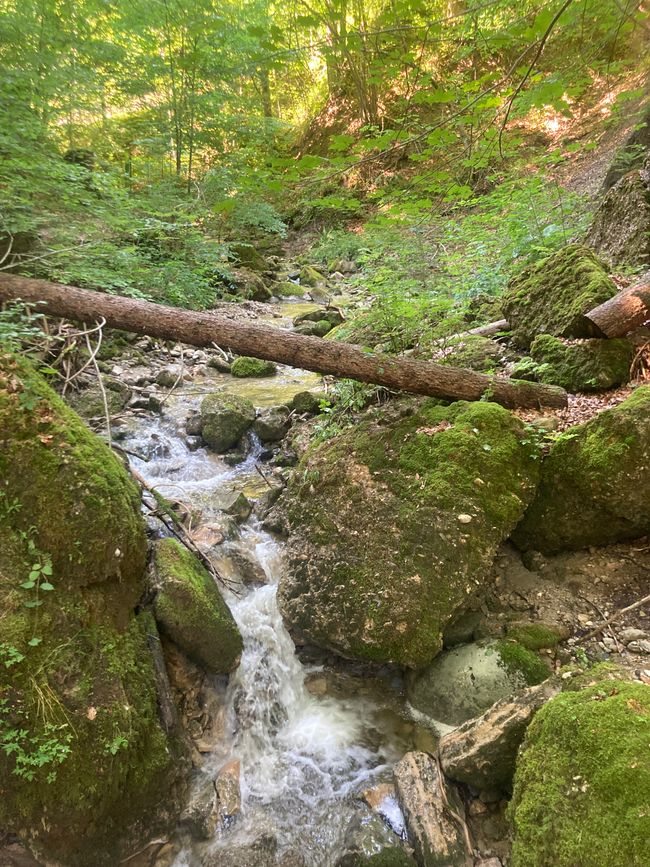 Das Wandern ist des Fischers  Lust-Ellegghöhe