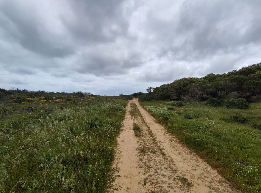 Vila do Bispo -> Carrapateira