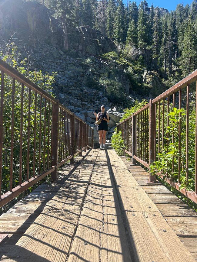 Tag 6 - Letzter Tag am Lake Tahoe