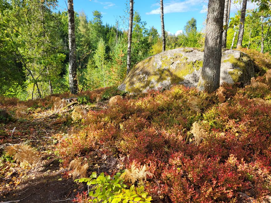 Randonnée Trollberget - Parc national d'Åsnen 