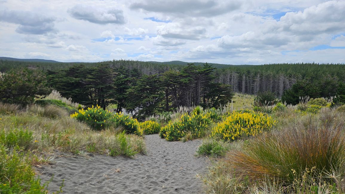 Ōtorohanga - Kawhia