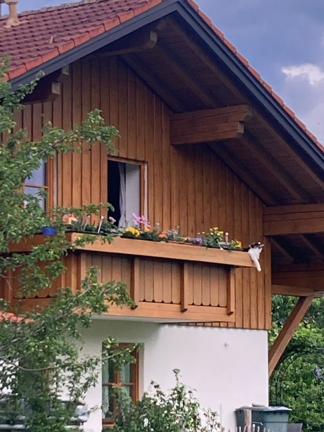 Man beachte die Katze, lässig ueber der Brüstung haengend 