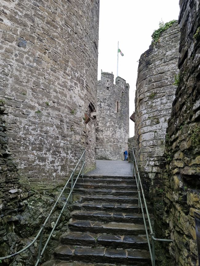 Conwy Castle 