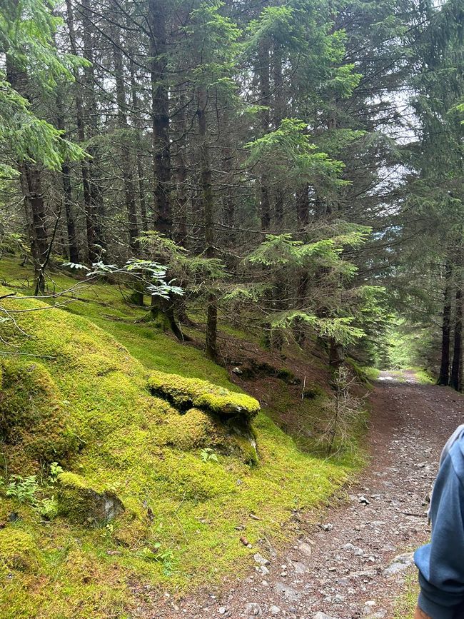 Tag 9 und 10 - Oh ein Fjord! Ulvik am Eidfjord