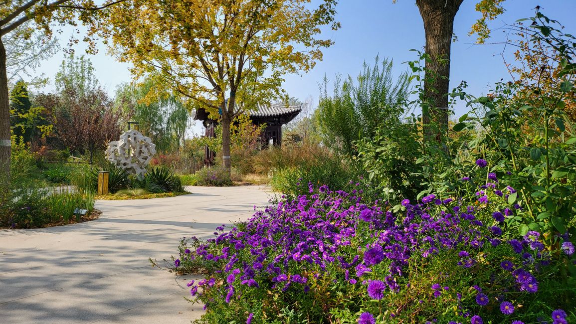 Exposición de Jardín Cangzhou