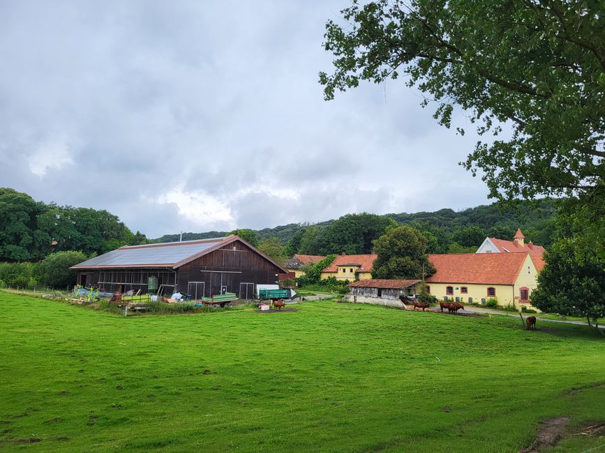 Ziegenhof “Wurzeln & Hörner”