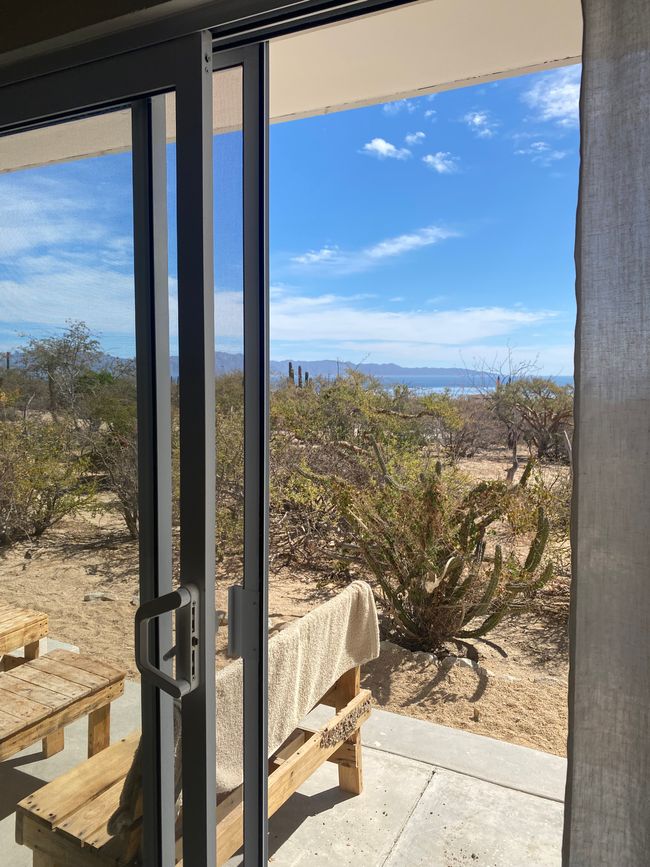 Cactus Hike