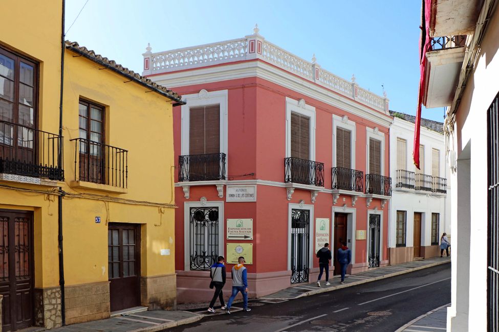 ANDALUSIEN (3/15) - Ronda