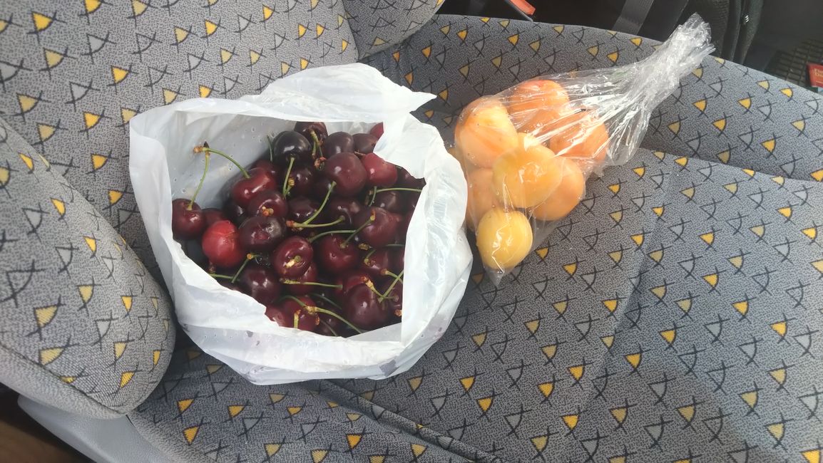 Verbindungsetappe Richtung Milford Sound