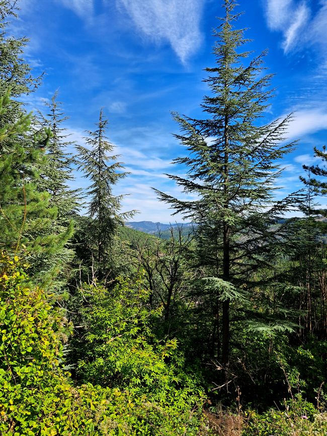 Corniche de Cèvennes