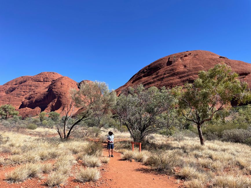 In the Walpa Gorge