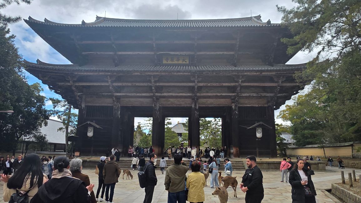 Osaka 'kuidaore' ➡️ mangiare fino a cadere