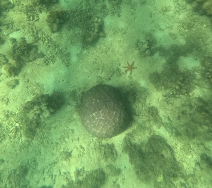 Etiqueta 17: Isla hopping frente a Lombok