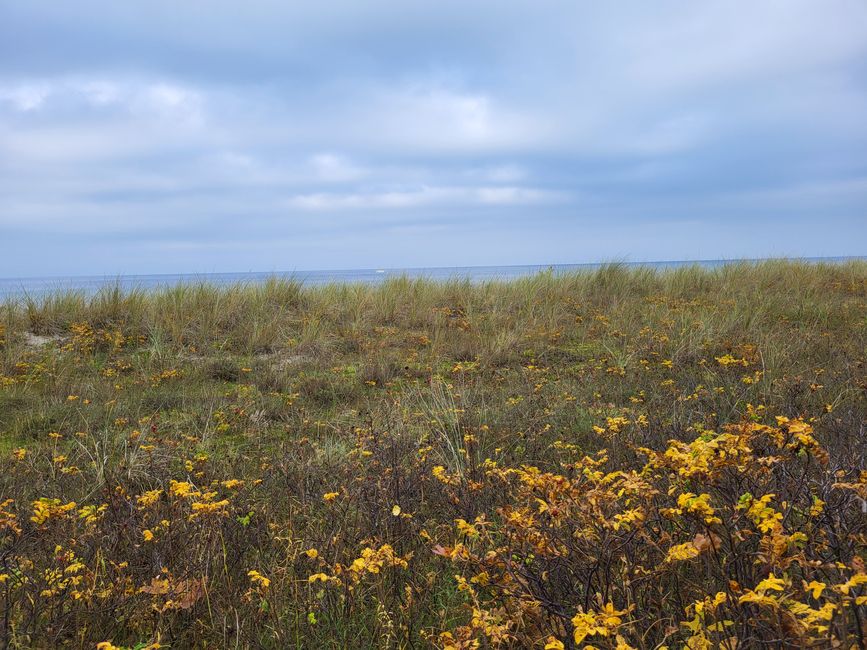 Strandpromenade Kühlungsborn 