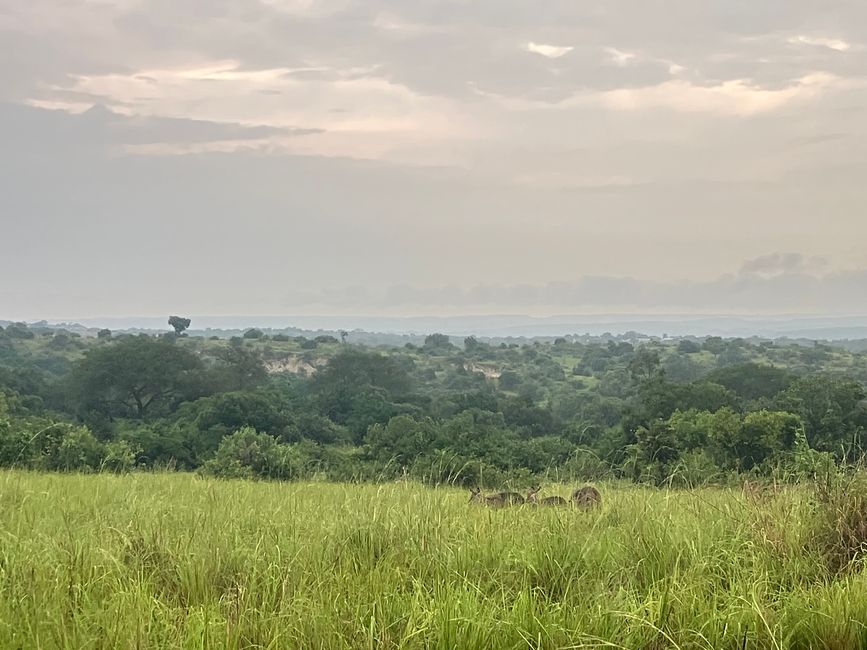 Nationalpark Murchison Falls