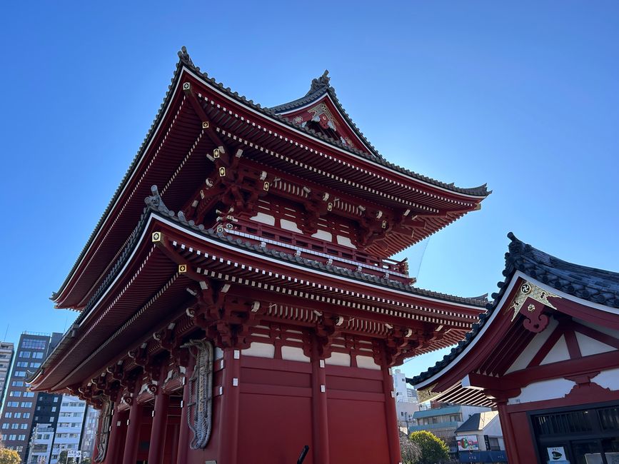 Cesta do Japón