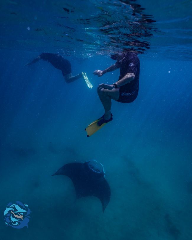 Snorkeling