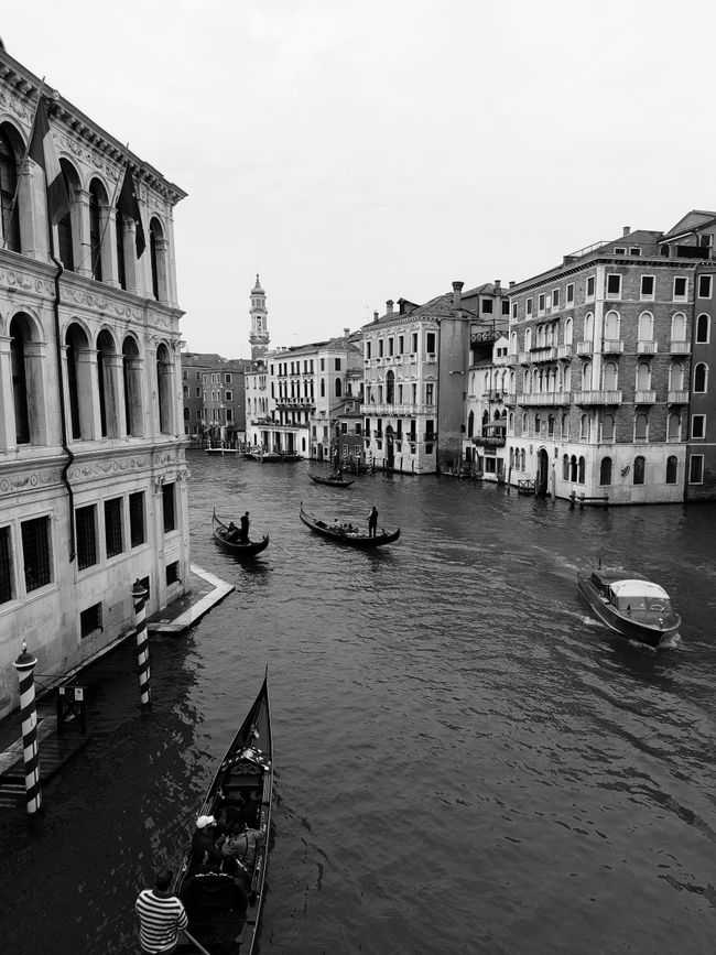 Venedig, wozu?
