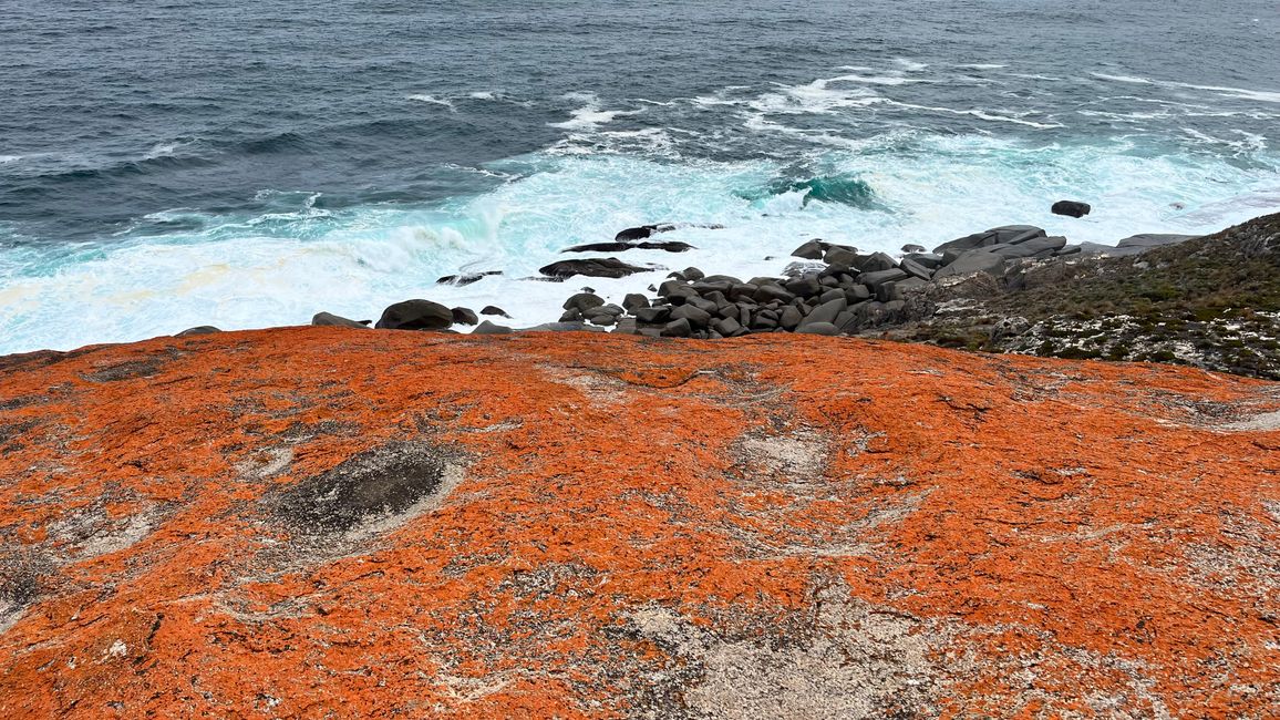 Kangaroo Island