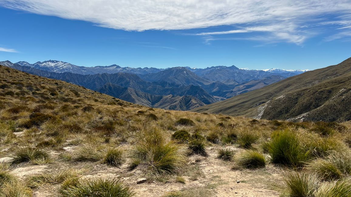 Ben Lomond Saddle