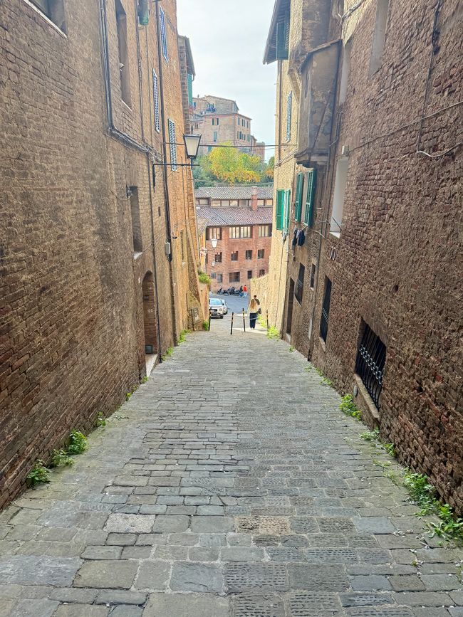 Siena liegt auf drei Hügeln – es geht fast immer bergauf.