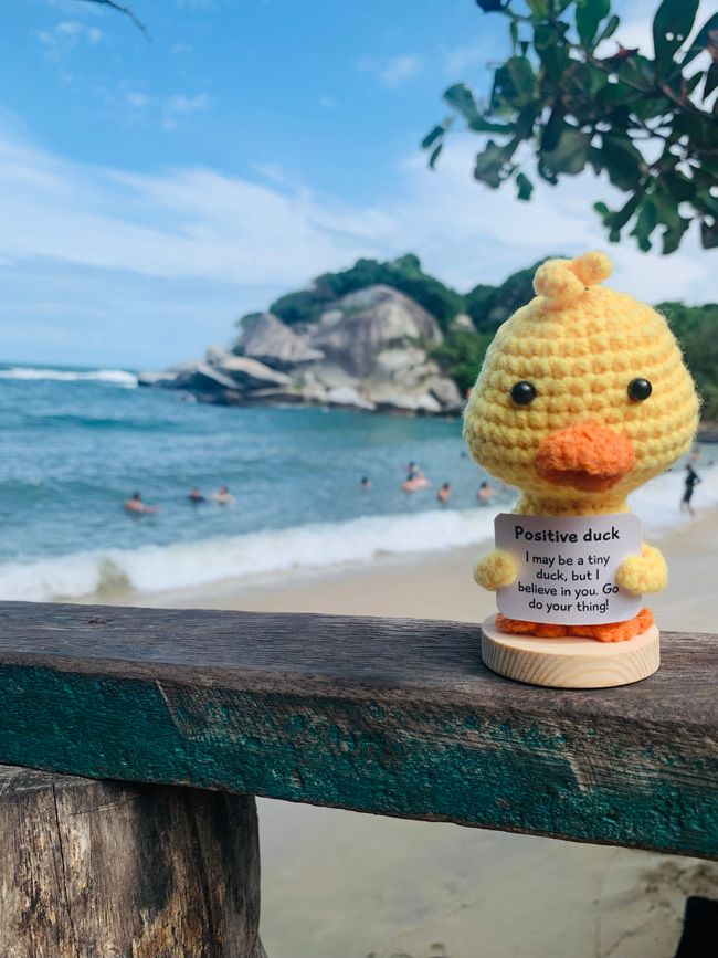 Tag 13: Parco Tayrona f7f9