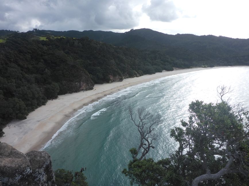 2025-04-11 NZ, Coromandel