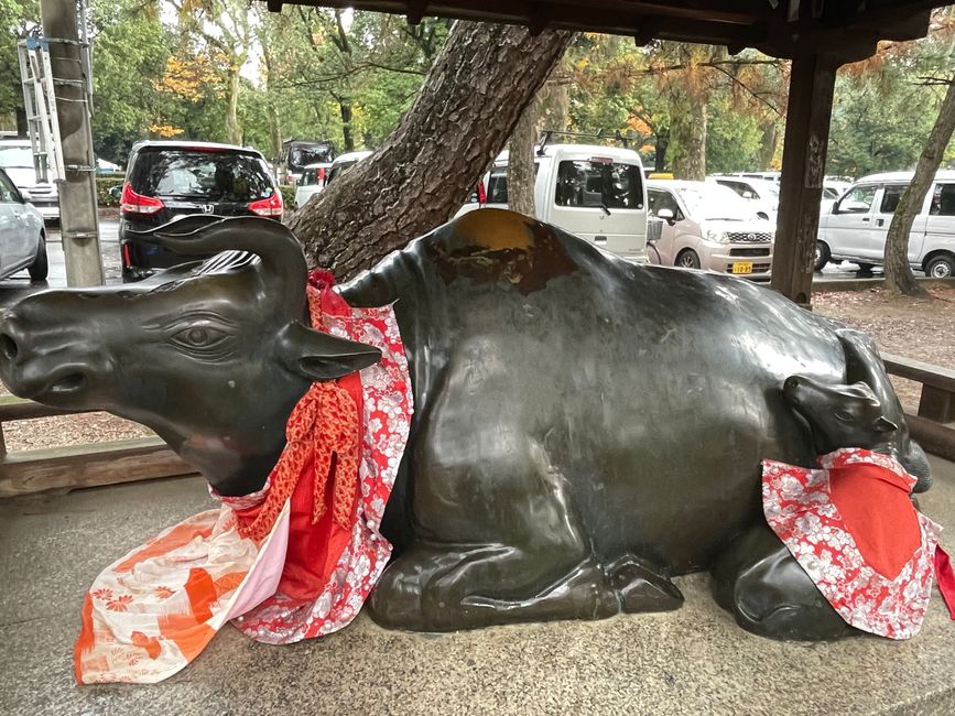 24. Chapitre : Vaches pour la sagesse et hystérie d'achat au marché Nishiki