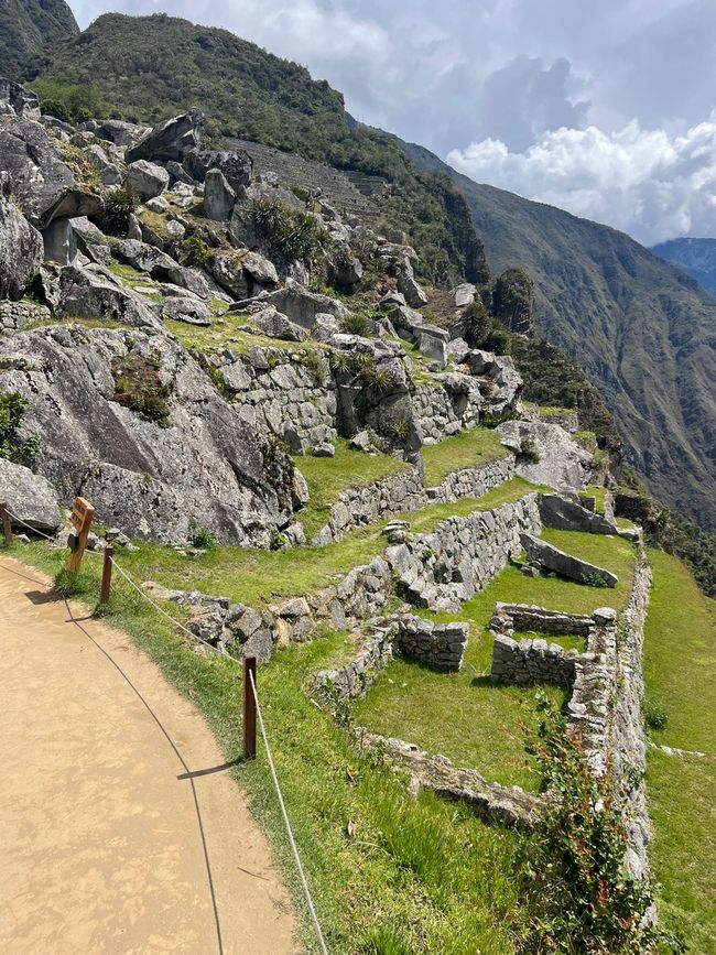 👷‍♂️Tag 26-2 (3.11.) Machu Picchu, die alte Inca-Stadt