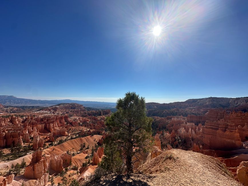 Tierra de Cañones: Zion y el Cañón de Bryce❤️