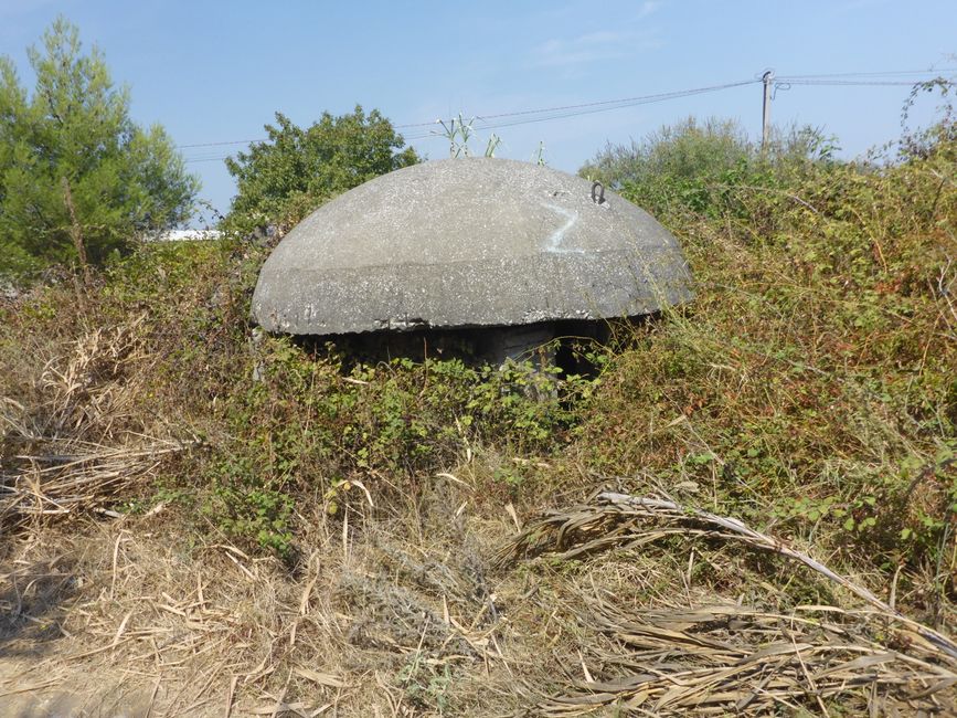 Die kleine Pilz-Bunker sehen immer mal wieder herum