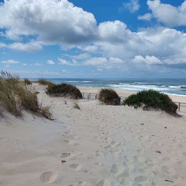 Aveiro -> Praia da Costa Nova
