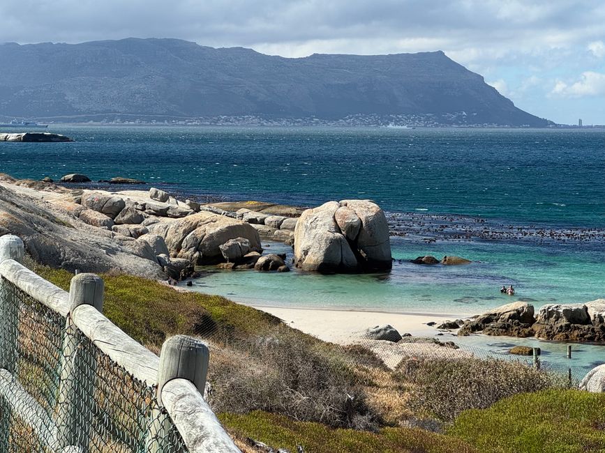 Afrique du Sud🇿🇦 Semaine 1