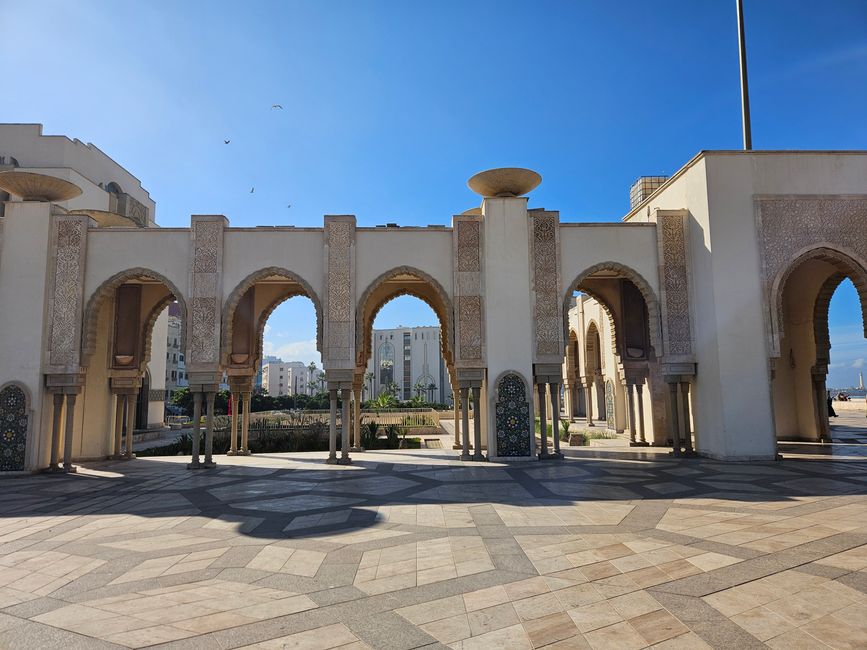 5. Etiqueta Casablanca 29.11.2025