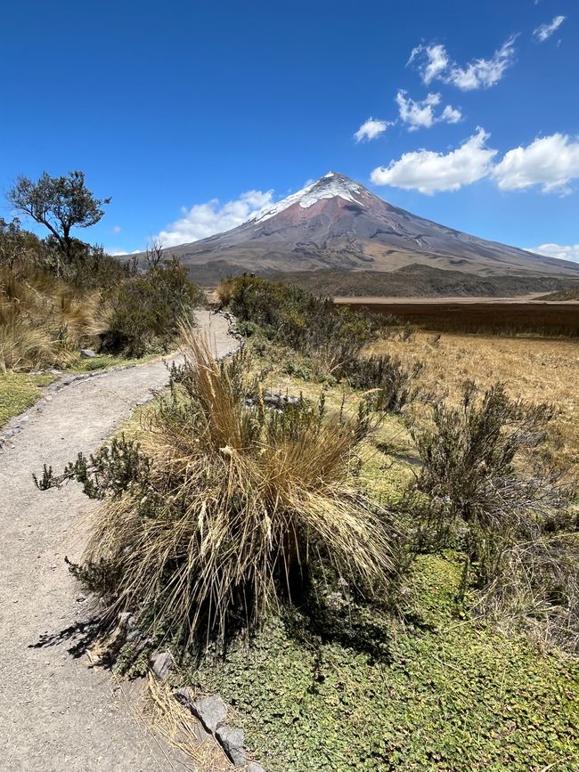 Paesaggio al Cotopaxi