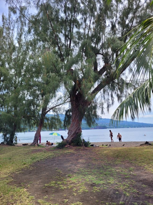 Día 63 y 64 de 175: Crucero alrededor del mundo - Papeete/Tahití
