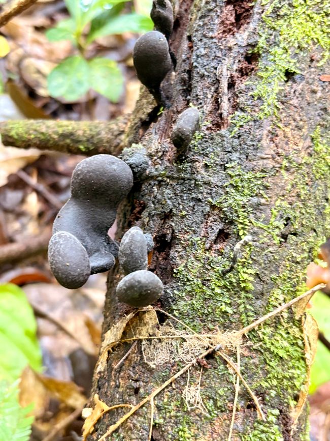 Unterwegs in Costa Rica