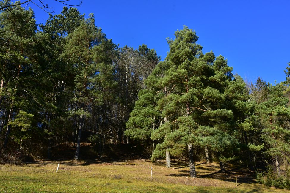 R E I T E R L E S   K A P E L L E - Wallfahrt, Legende und Wanderparadies