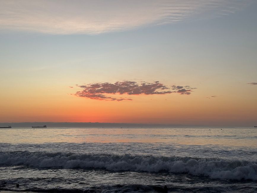 Arica