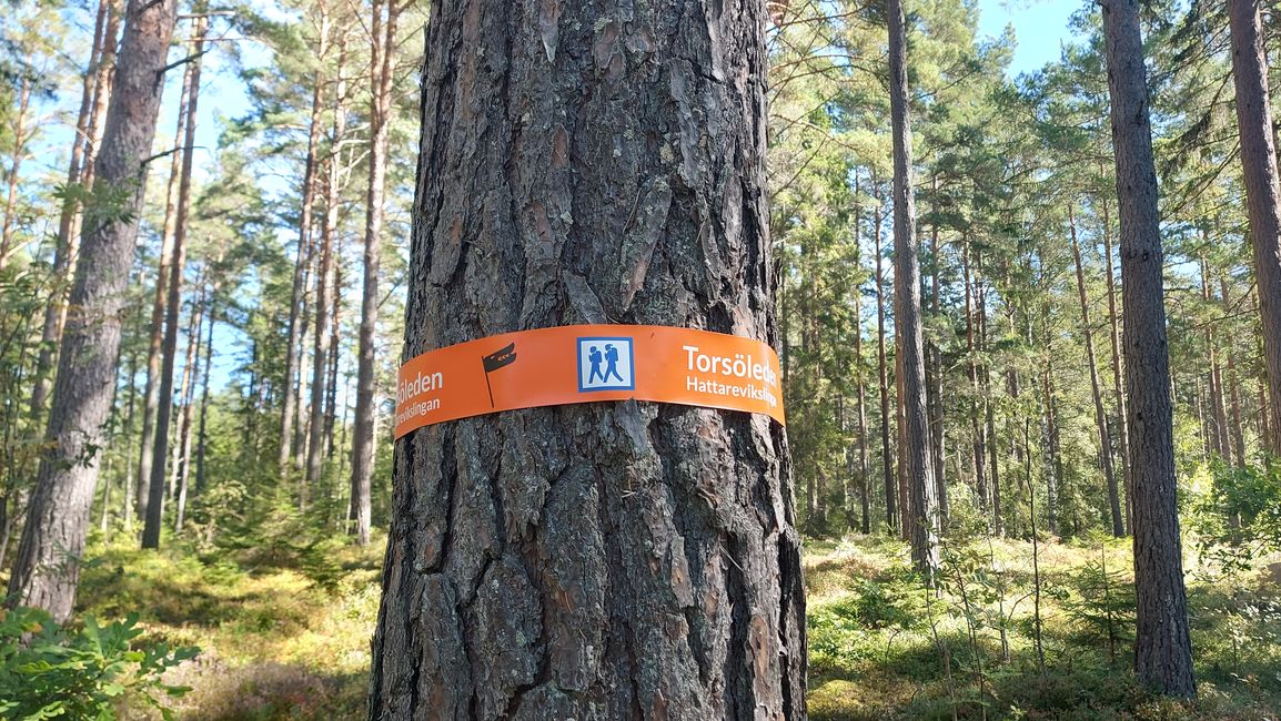 Mariestad - Suro - Laxhall - Hattarevik - Mariestad