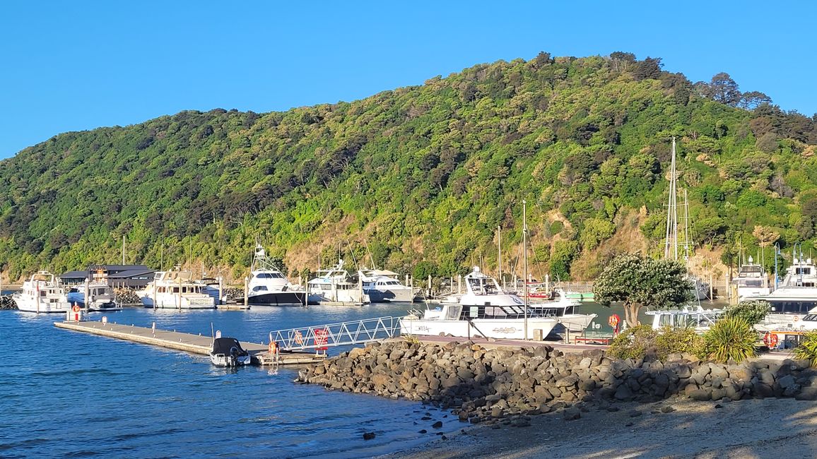 29.Januar-27.Februar 2025 Neuseeland
16.Februar
