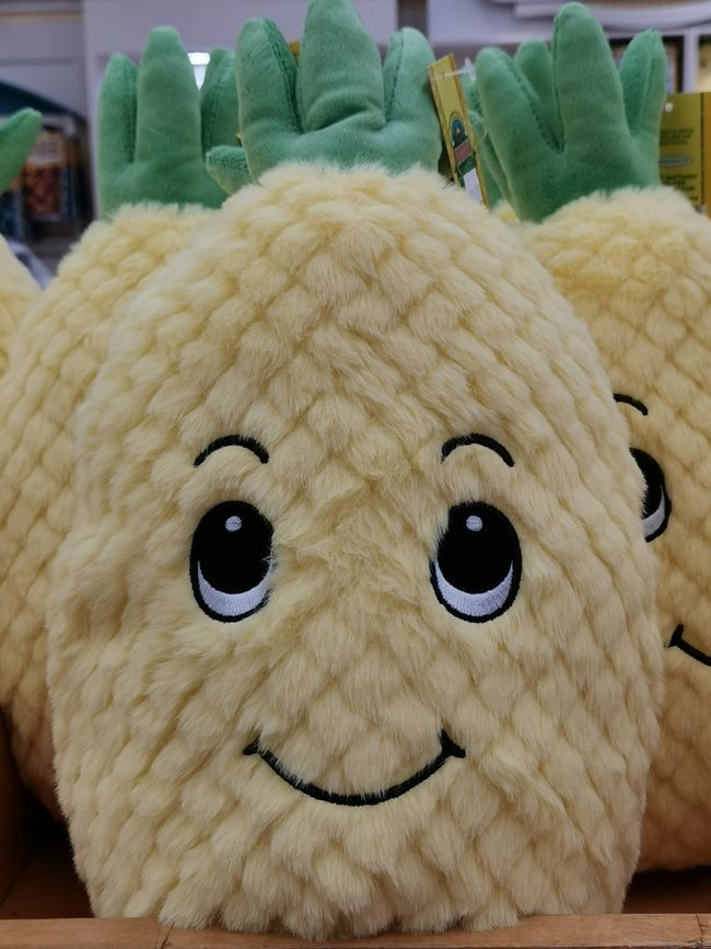 Hawaii - Waikiki Beach