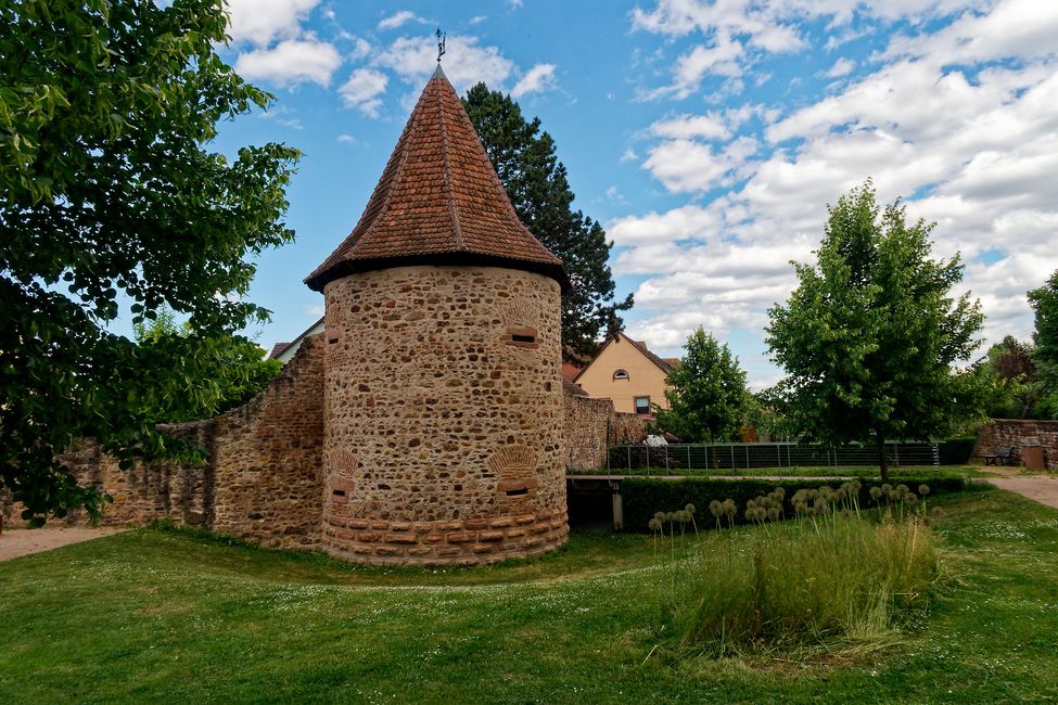 Elsass