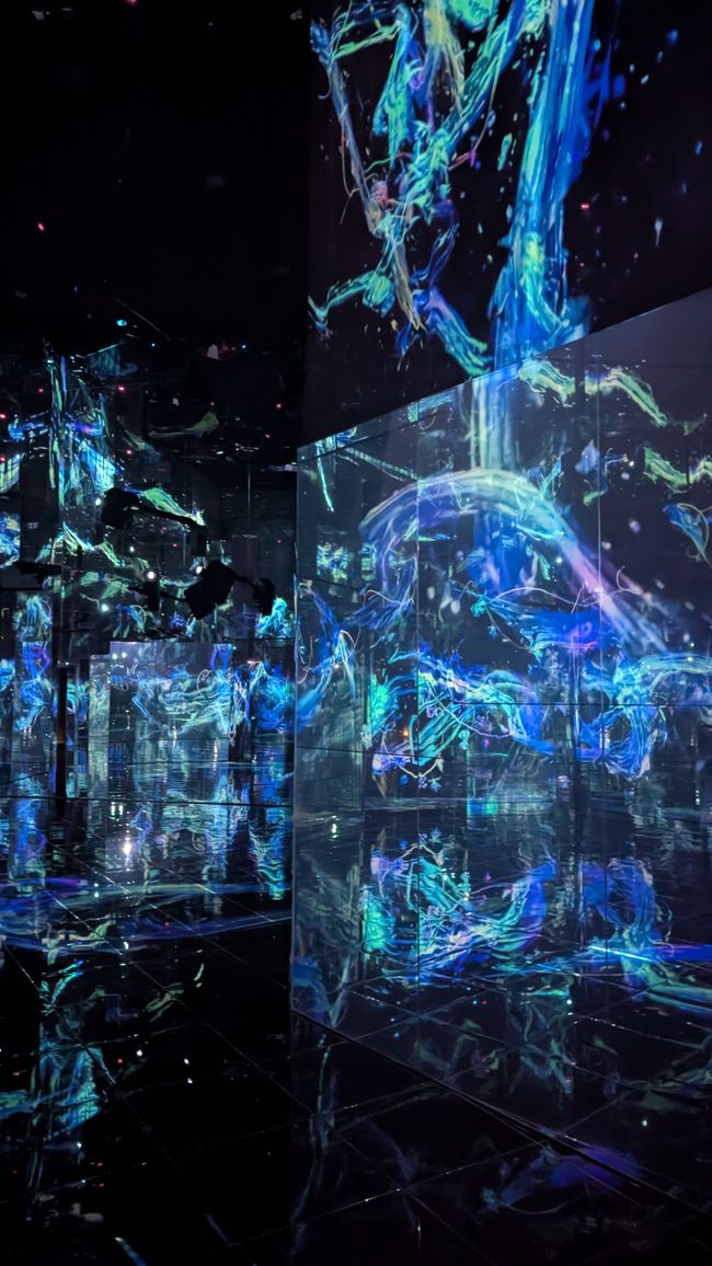 teamLab 现象