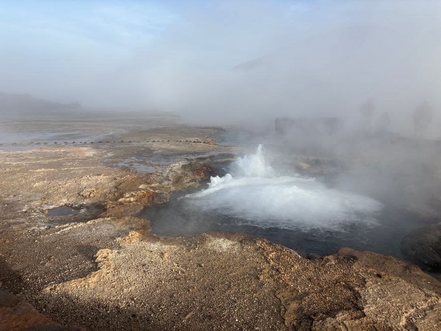 Geyser Tatio