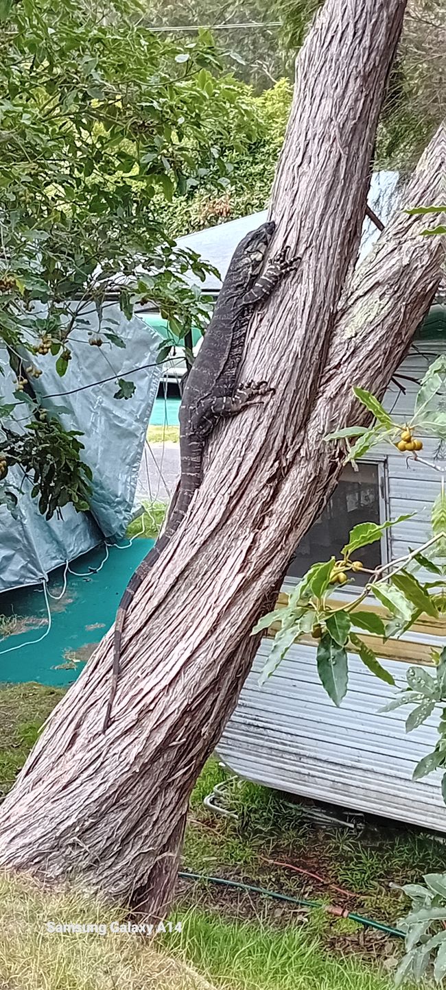 Rivière Cenn / Ulladulla