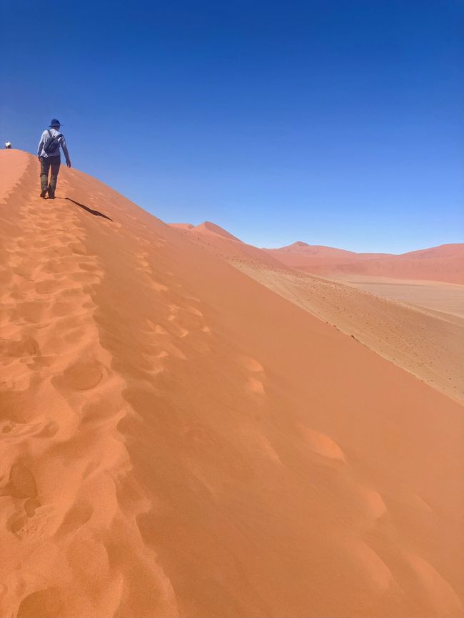 Il deserto namibiano - un mare di sabbia