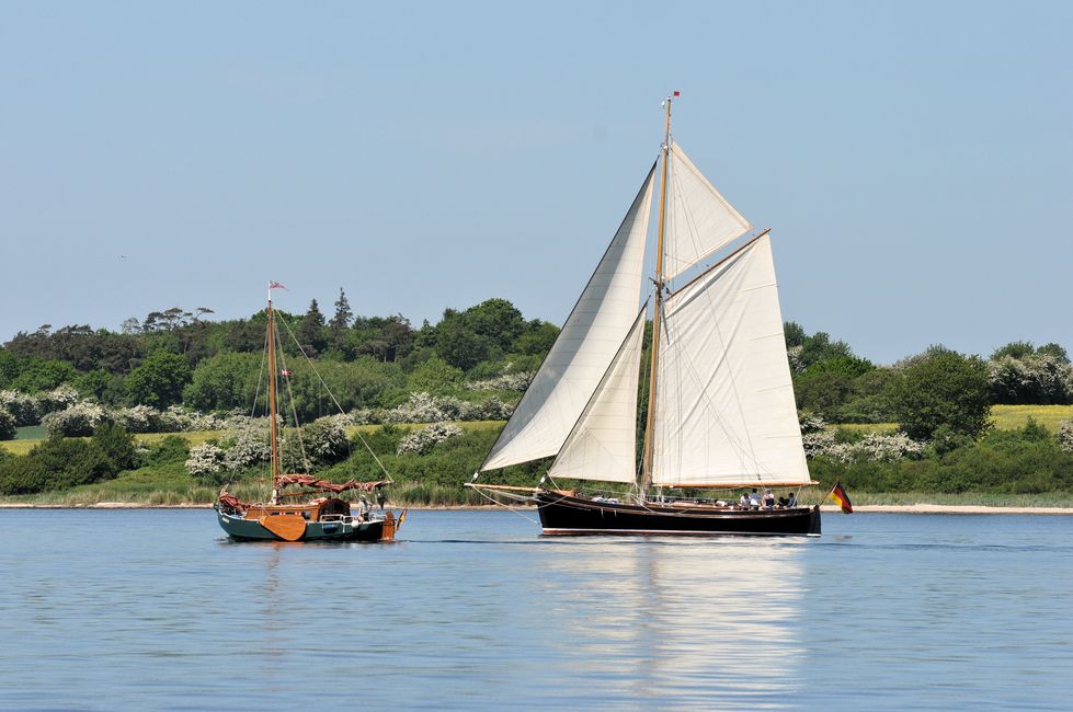 Fahrt zur Rum-Regatta in Flensburg 2017