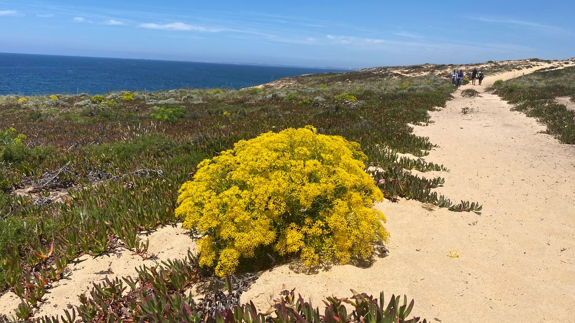 Porto Covo, bike and hike